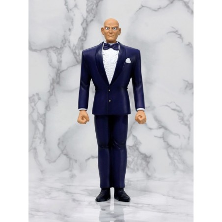 SAINT SEIYA Tokumaru Tatsumi le Majordome Myth Cloth YELLOWBLUE93