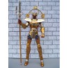 SAINT SEIYA General Chrysaor Krishna Marinas Poséidon Myth Cloth BANDAI