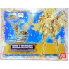 SAINT SEIYA Myth Cloth Masami Kurumada Cygnus Hyoga God Cloth Original Colors Stand Extra Sticker Included Tamashii Web Limited 