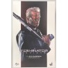 TERMINATOR MOVIE MASTERPIECE T-800 GUARDIAN MMS307 HOT TOYS
