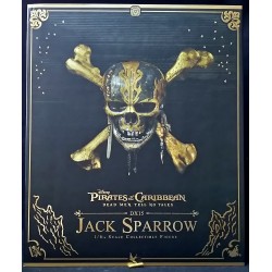 PIRATES OF THE CARIBBEAN...