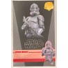 STAR WARS TELEVISION MASTERPIECE SERIES ELITE SQUAD TROOPER TMS150 HOT TOYS