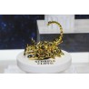 BANDAINAMCO/BANDAISPIRITS Saint Seiya Cloth Myth APPENDIX Masami Kurumada Scorpio Scorpion Gold Cloth Object Resale Version