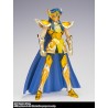 Saint Seiya BANDAI Saint Cloth Myth EX [Aquarius and Camus]